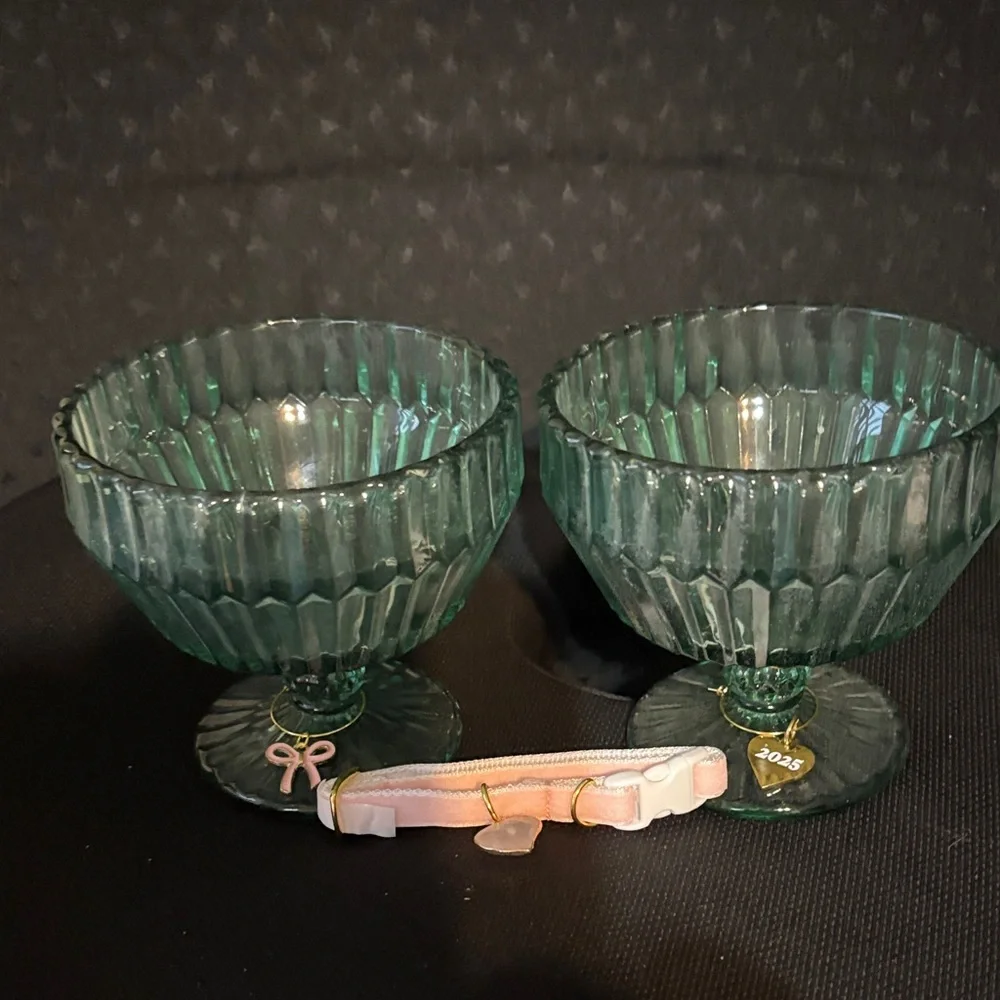 Cat bowls and Collar